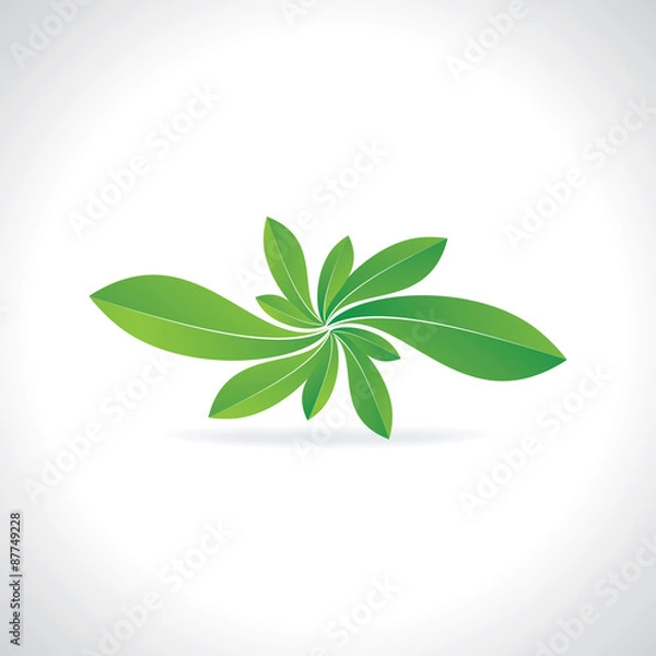 Fototapeta green flower created with leaf vector 