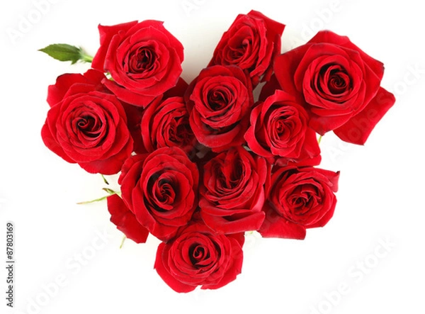 Fototapeta Beautiful red roses, isolated on white