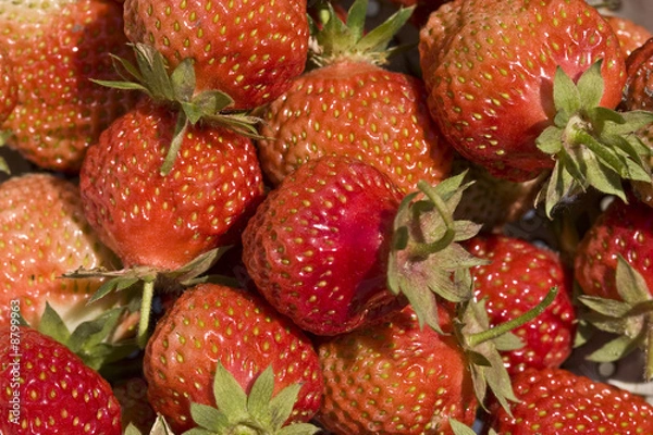 Fototapeta food series: freshly grown tasty strawberry texture