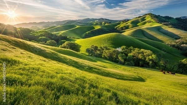 Fototapeta Photorealistic Summer Rolling Hills | Summer Background | Photorealistic