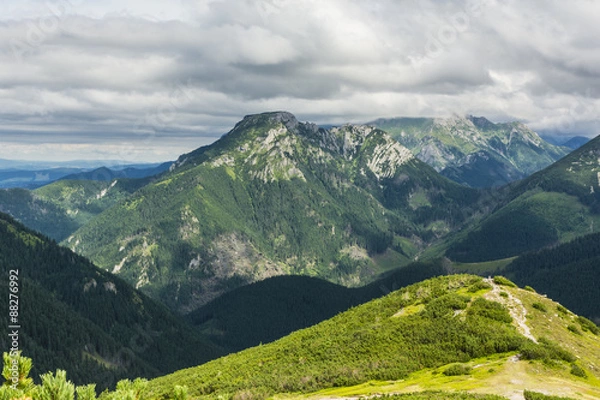 Fototapeta Tatra landscape in summer