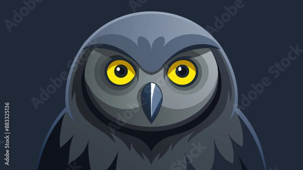 Fototapeta owl on a black background