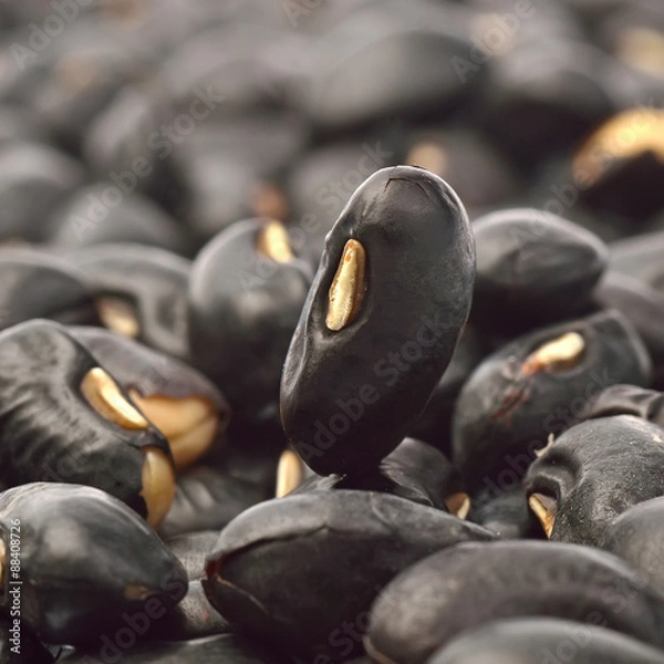 Fototapeta Black beans background