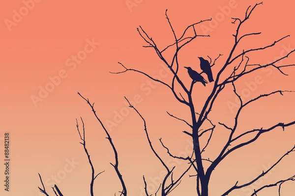 Fototapeta Tree silhouette with a crow