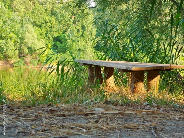 Fototapeta Bench in park, summer outdoor