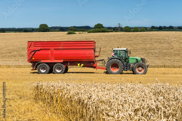 Fototapeta Tractor with Trailer on the field during harvest time - 2712