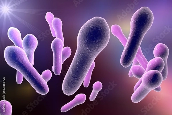 Obraz Microscopic illustration of Clostridium tetani, Clostridium perfringes, Clostridium difficile, model of bacteria, anaerobes, anaerobic bacteria