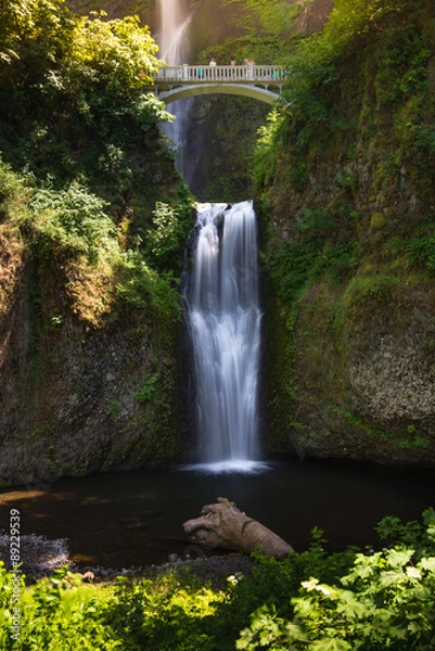 Fototapeta Multnomah falls