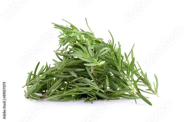 Fototapeta rosemary isolated on white background