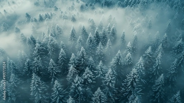 Fototapeta Misty Winter Forest Surrounded by Snow-Covered Trees in a Serene Landscape. Generative AI