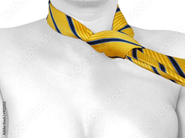 Fototapeta women with a yellow tie