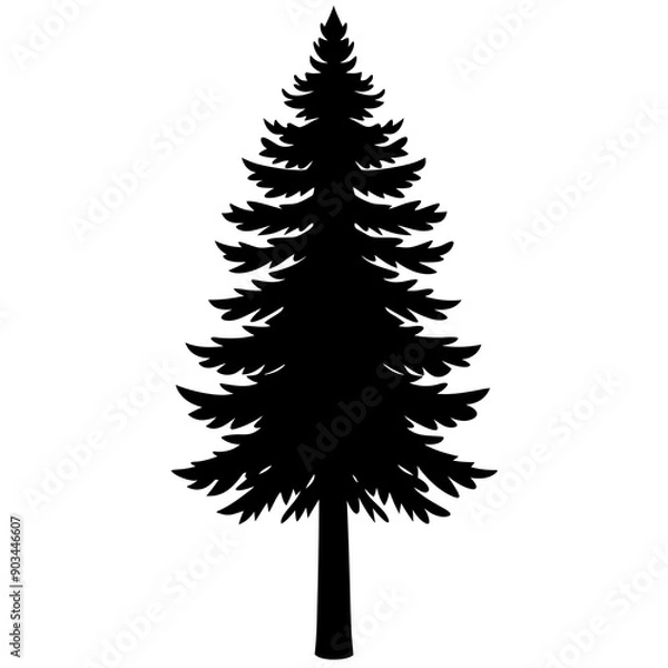 Fototapeta Silhouette of a pine tree Douglas spruce vector illustration design