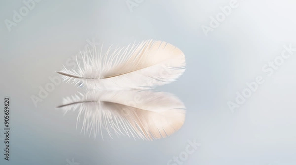 Obraz Feather with elegant reflection on smooth surface, delicate, tranquil, lightness, softness, serenity, simplicity, ethereal beauty concept