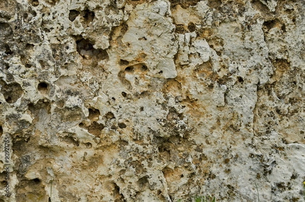 Fototapeta Sedimentary rock piece in stone-pit area at Zavet town, Bulgaria