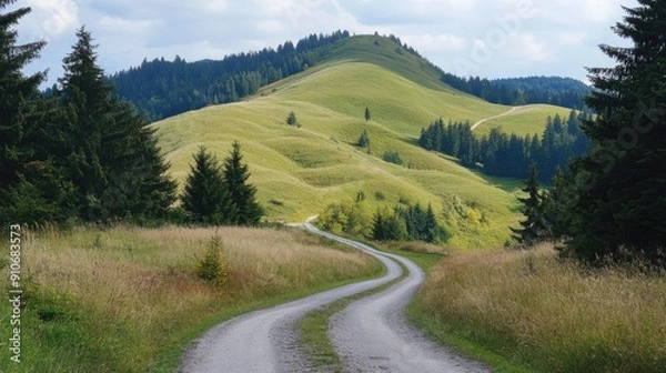 Fototapeta Winding Dirt Road Leading Up a Lush Green Mountain