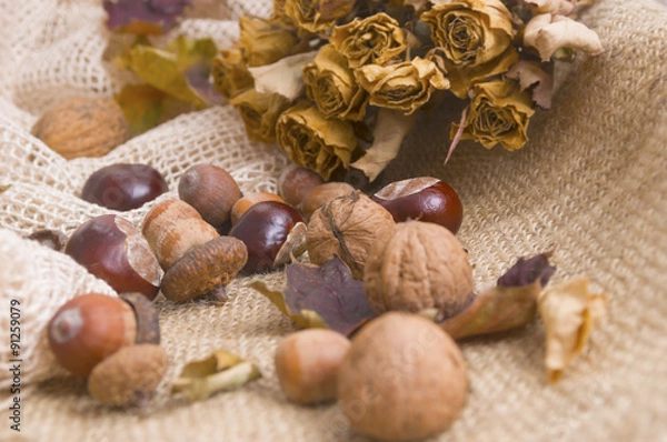 Fototapeta Mixed, typical in autumn fruits background