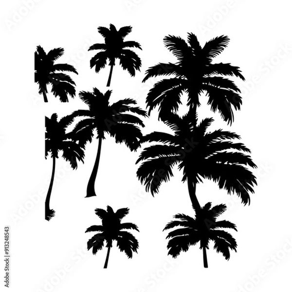 Fototapeta palm tree , vector black color silhouette