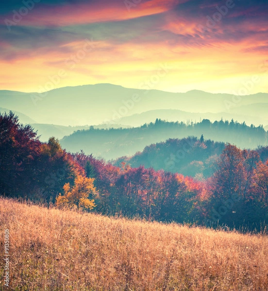 Fototapeta Colorful autumn sunrise in the Carpathian mountains