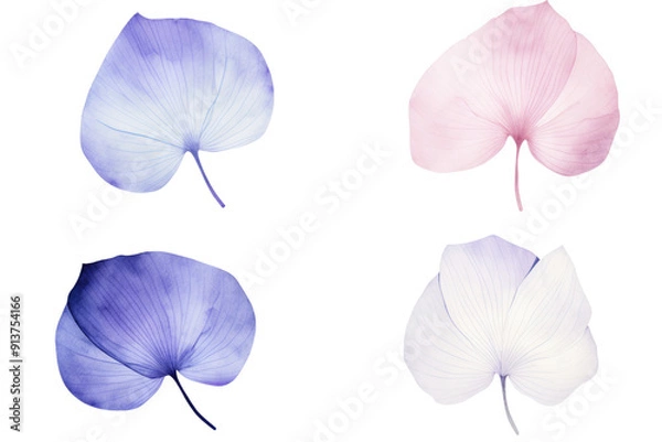 Obraz A set of four delicate, colorful translucent petals in pink, purple, blue, and white, arranged in a symmetrical pattern in isolated on transparent or white background