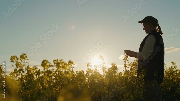 Fototapeta Against the backdrop of the setting sun, a woman farmer stands in a rapeseed field, immersed in the beauty of the rural surroundings.