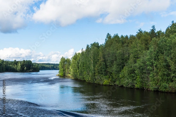 Fototapeta boating down the bends of a river with birch tree woods along the bank