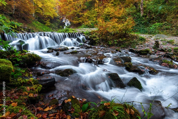 Fototapeta Autumn landscape