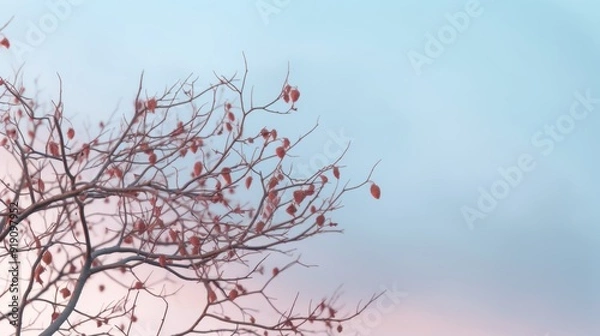 Fototapeta Bare Branches Against a Soft Pastel Sky