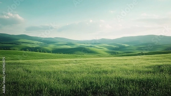 Fototapeta Serene Sunset Symphony: Rolling green hills bathed in the warm glow of the setting sun, a picturesque landscape of tranquility and natural beauty. 