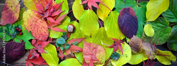 Fototapeta Herbst Hintergrund