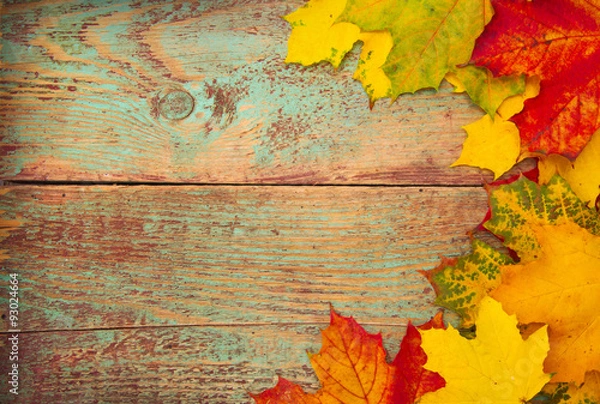 Fototapeta Autumn leaves over wooden background