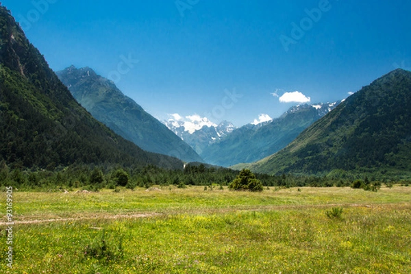 Fototapeta mountain meadow