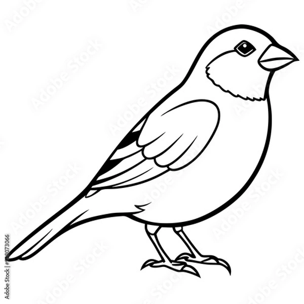 Fototapeta Sparrow Vector Illustration - Detailed Bird SVG Files for Cricut, Clipart, and T-Shirt Graphics