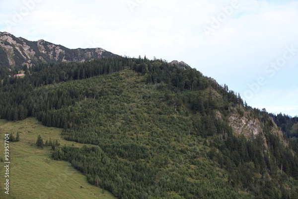 Fototapeta Berglandschaft