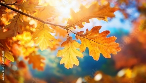 Fototapeta Autumn oak leaves on a tree with a blurred background of a sunny sky, showcasing the vibrant colors of fall against a bright, clear backdrop.