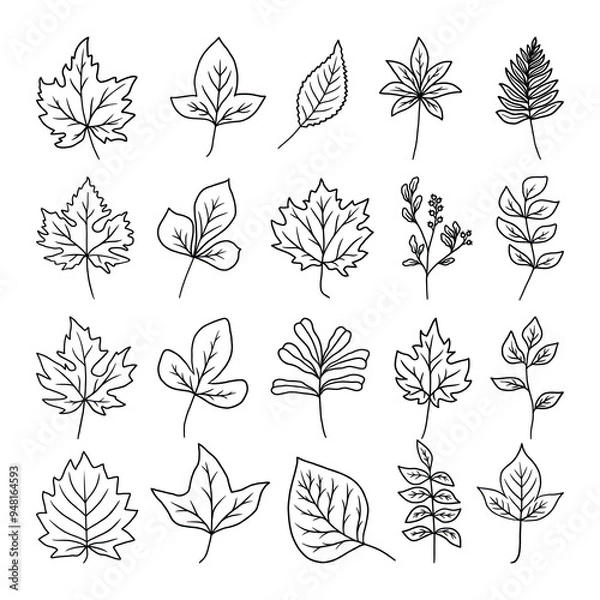 Fototapeta set of autumn leaves vector