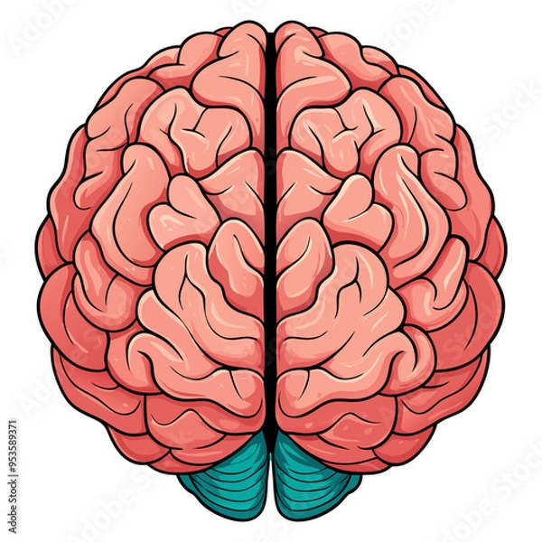 Fototapeta simple flat style human brain vector illustration, Brain or mind side outline, human brain icon.