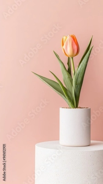 Fototapeta A tulip displayed on a desert podium next to a tall cactus.