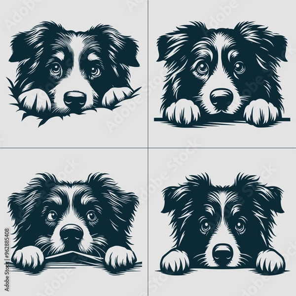 Fototapeta Peeking Australian Shepherd Svg, Peeking Australian Shepherd Clipart, Peeking Australian Shepherd Svg Files For Cricut