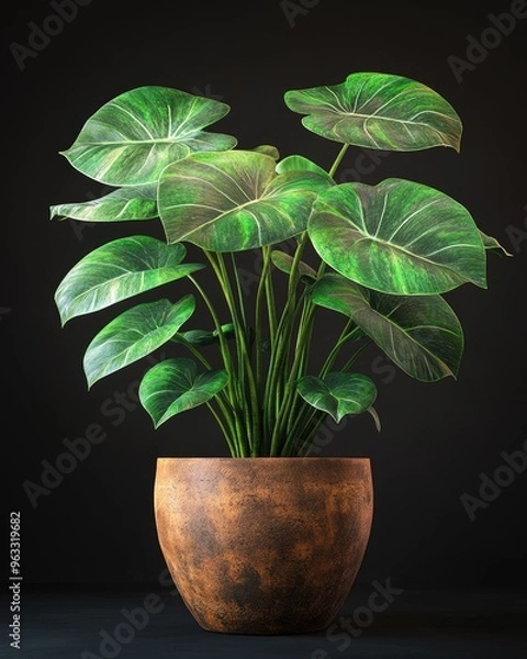 Fototapeta A vibrant indoor plant with large green leaves in a rustic pot, perfect for enhancing any home decor or interior design.