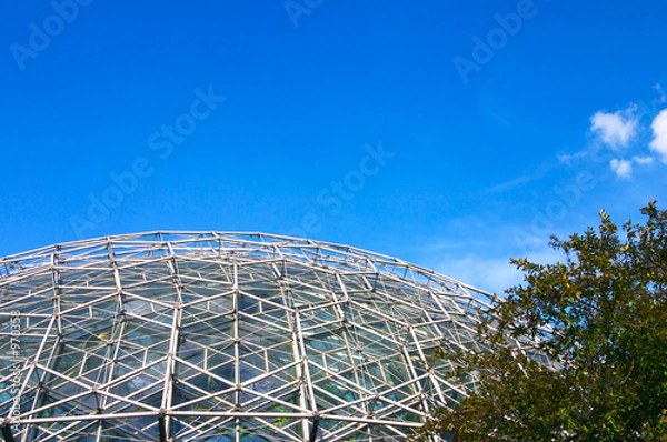 Fototapeta geodesic dome