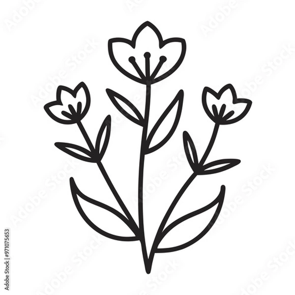 Fototapeta Wildflower line art vector illustration on a transparent background