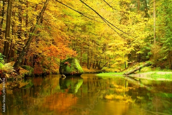 Fototapeta Big boulders with fallen leaves. Autumn mountain river banks. Fresh green mossy boulders and river banks covered with colorful leaves