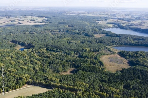 Fototapeta Aerial view of forest