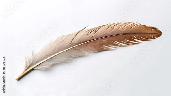 Fototapeta A delicate feather with soft, intricate details resting on a light background.