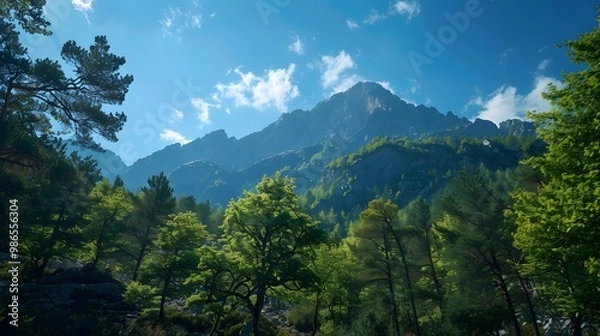 Fototapeta Clear sky by mountain and extensive tree forest