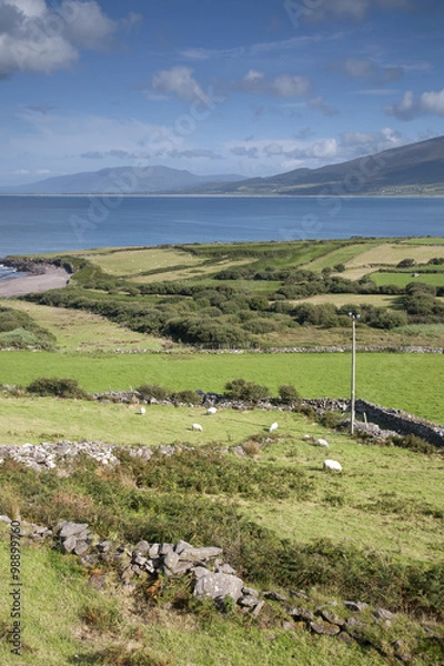 Fototapeta View from Brandon Point, Dingle Peninsula