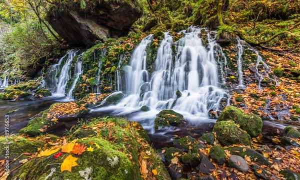 Fototapeta beautiful waterfall in forest, autumn landscape