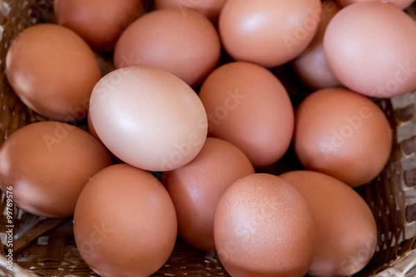 Fototapeta Eggs chicken farm in basket,selection focus.