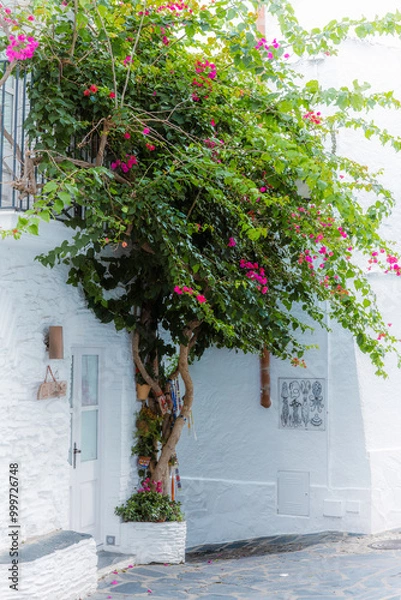 Fototapeta Typical mediterranean street, with white facade houses, green plants and flowers, in Cadaques, Costa Brava, Catalonia (Spain).