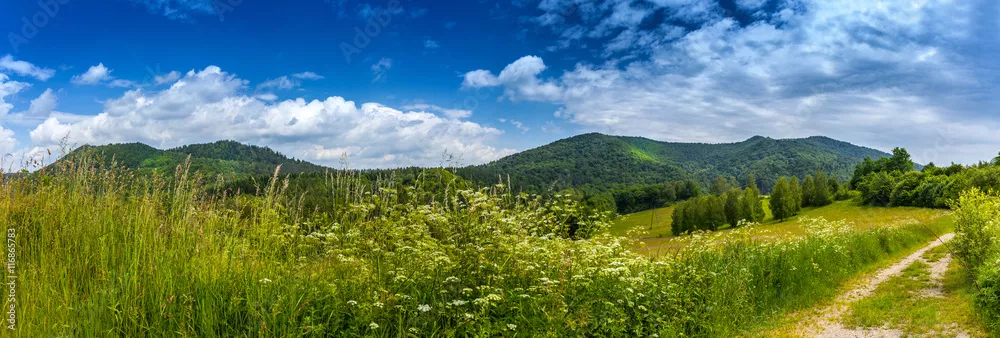 Obraz Landscape in Bieszczady Mountains